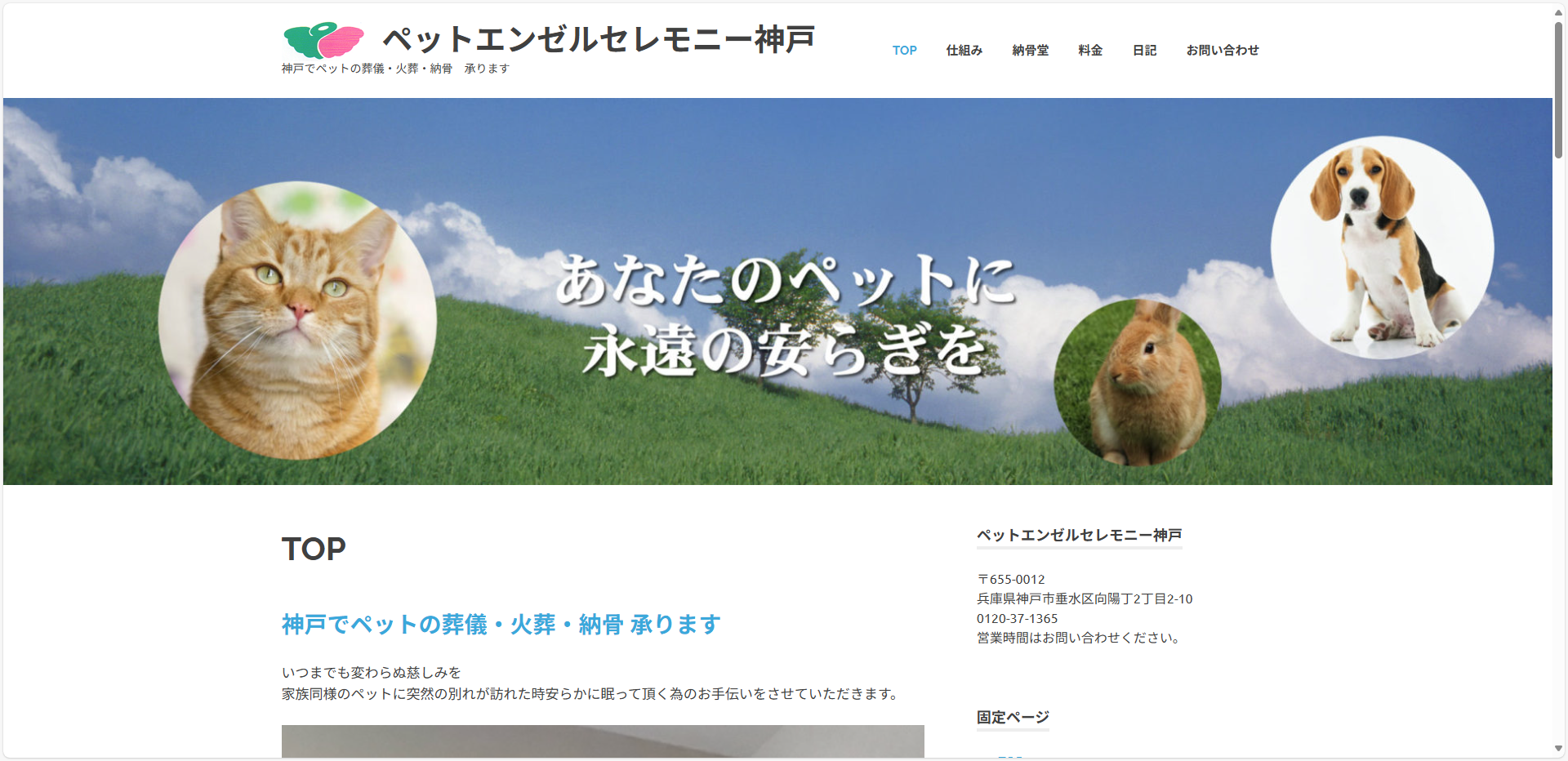 神戸市でペットの火葬、納骨をおこなっているペットエンゼルセレモニー神戸様もホームページを作成しました。